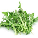 DANDELION LETTUCE FROM USA