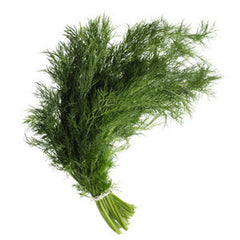 DILL FROM USA