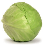 GREEN CABBAGE