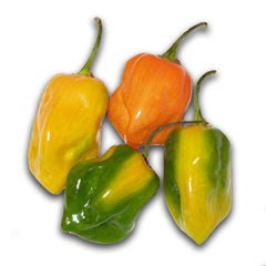 MIXED BABY HABANERO FROM USA