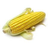 YELLOW CORN    M USA