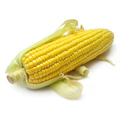 YELLOW CORN    M USA