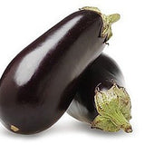 ITALIAN EGGPLANT FROM USA