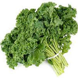 KALE BUNCH FROM USA DECORATIVE