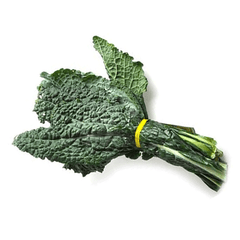 LACINATO KALE