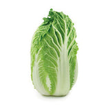 NAPPA CABBAGE FROM USA