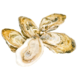 FRESH BLUE POINT OYSTERS FROM VIRGINIA