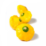 PATTY PAN SQUASH FROM USA