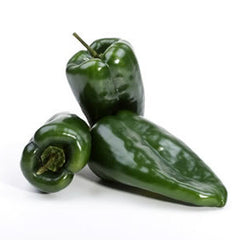 POBLANO PEPPERS FROM MEXICO