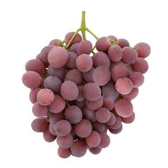 RED GLOBE GRAPES FROM CHILE