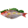 RED SNAPPER FILLET FROM USA