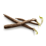 SALSIFY FROM MEXICO