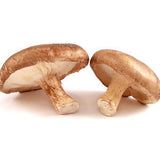 SHITAKE MUSHROOMS FROM USA