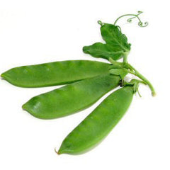 SNOW PEAS FROM USA