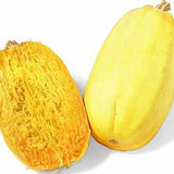 SPAGHETTI SQUASH