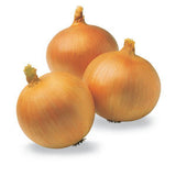 YELLOW ONIONS