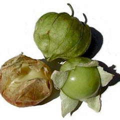 TOMATILLOS FROM USA