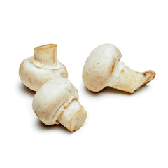 WHITE MUSHROOMS FROM USA