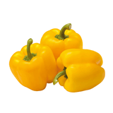 YELLOW HOLLAND PEPPER