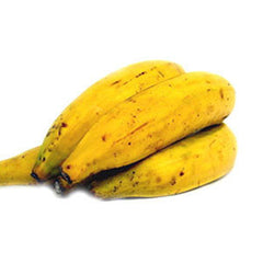 YELLOW PLANTAIN FROM ECUADOR