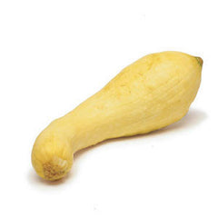 YELLOW SQUASH FROM MEXICO